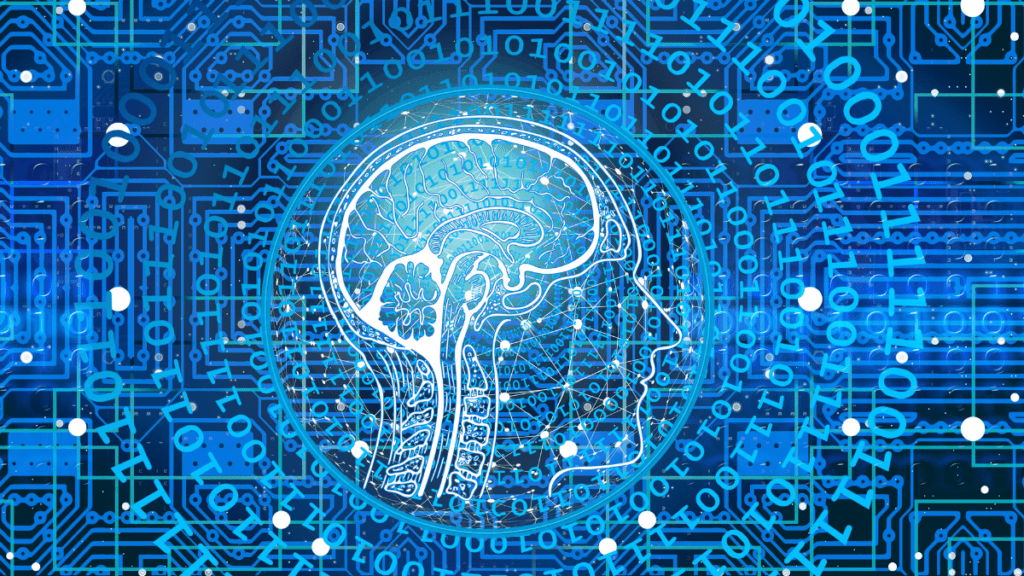 What Is Ruby on Rails & Why You Should Use it for Your Web Application