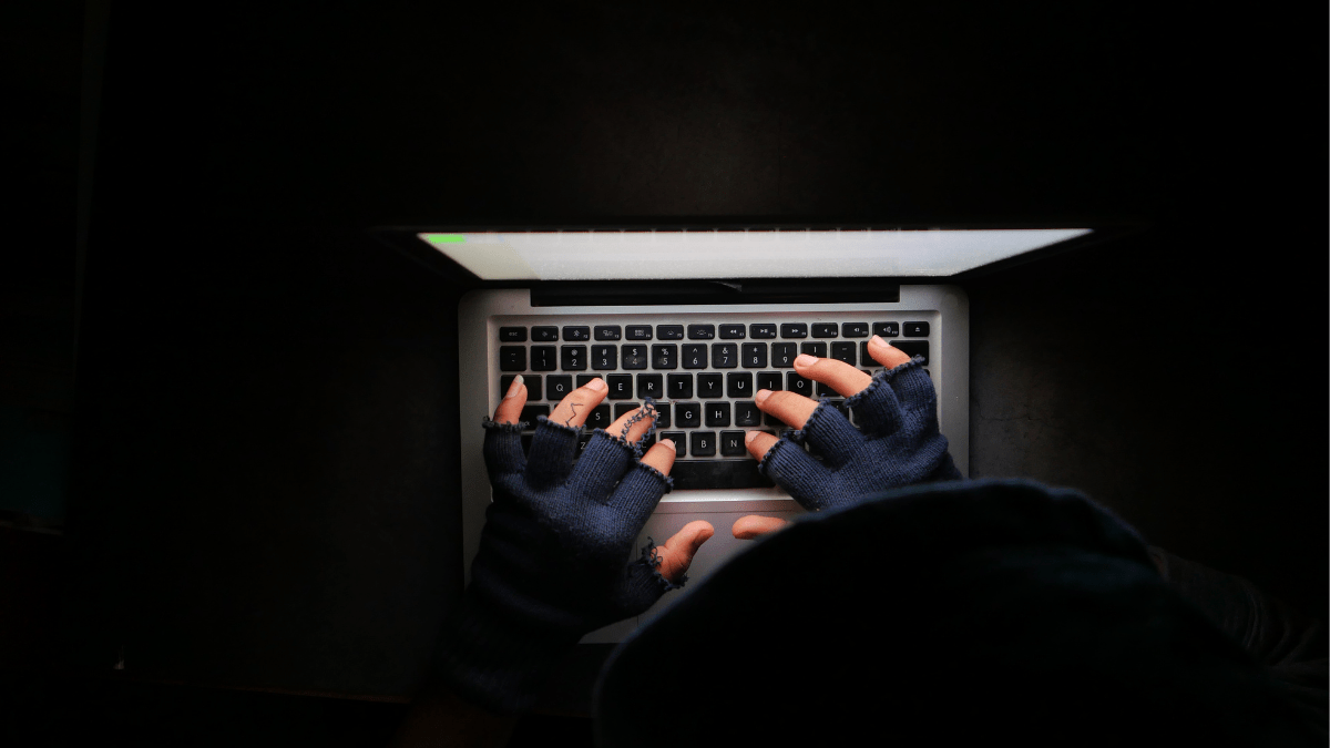 Exploits And Vulnerability Hackers Uses To Hack Website