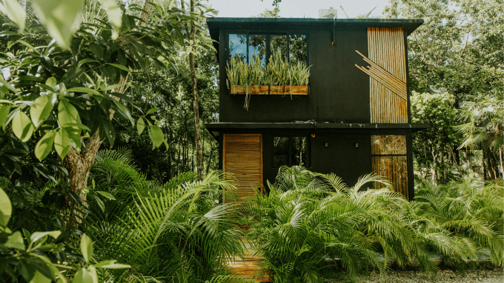 Sustainable & Eco-Friendly Skincare - How Green Beauty Innovations Are Shaping the Future of Aesthetic Care